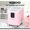 Igloo 26lb Ice Maker - Pink - 2 of 4