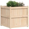 vidaXL Garden Planter 27.6"x27.6"x27.6" Solid Wood Pine - 4 of 4