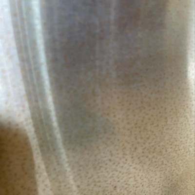 Guest review image 1 of 2, zoom in