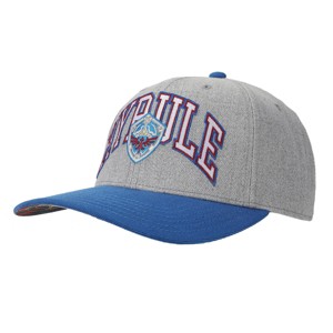 The Legend Of Zelda Hyrule Shield Gray & Blue Snapback Hat - 1 of 4