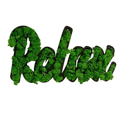 VisioGear RELAX Letter Art Moss Wall Decor for Hallway Office Wall Decor, Green, 24.4"*13.2"*1.58"