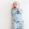 Kyte Baby Sleep Bag Wearable Blanket 1.0 Tog - 2 of 4