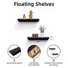 DSVIMOY Planter Stands and Holders Planter Stands Shelf with Invisible Brackets for Home Storage, Black, 19"*5"*3" - 3 of 4