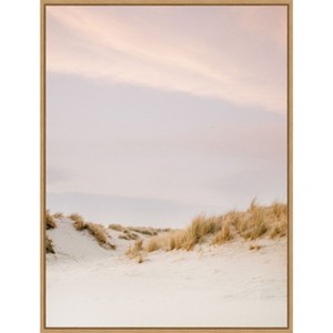 Amanti Art Ameland Dunes 3 by Raisa Zwart Framed Canvas Wall Art - 1 of 4
