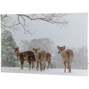 Northlight Fiber Optic Lighted Deer in the Woods Canvas Wall Art 23.5" x 15.5" - 1 of 4