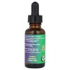 Flower Essence Services Joshua Tree, Flower Essence, 1 fl oz (30 ml) - 2 of 2