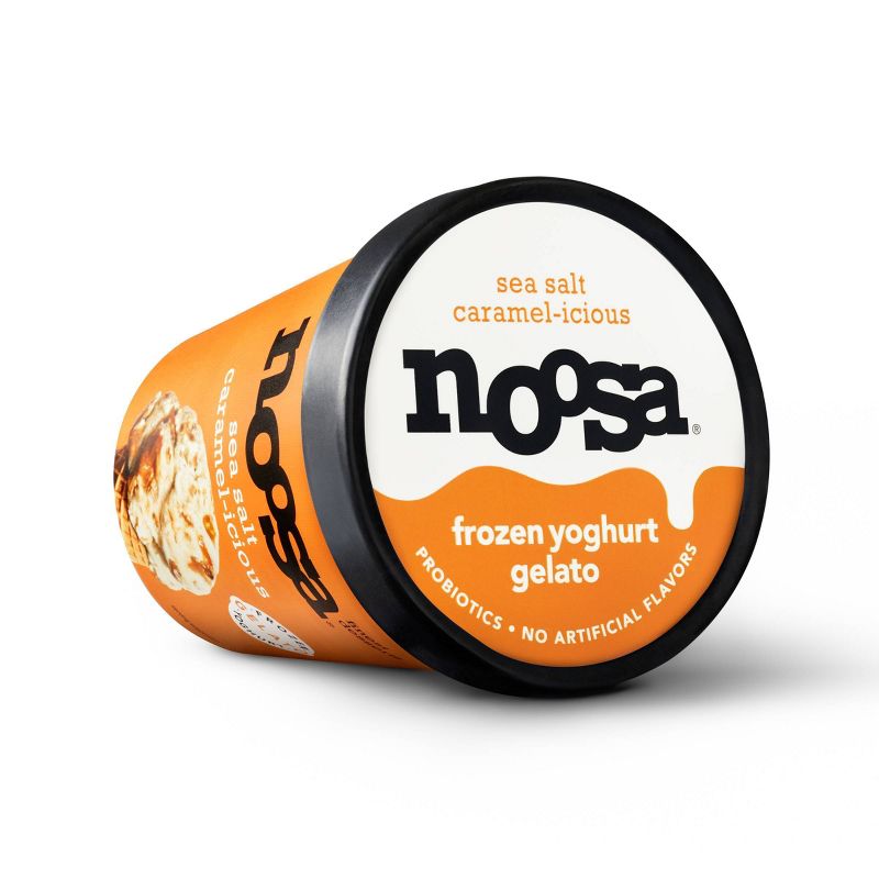 Noosa Frozen Yogurt Gelato Sea Salt Caramel - 14oz, 4 of 13