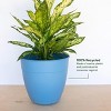 Bloem Dayton Round Resin Planter Pot Indoor and Outdoor Gardening - 4 of 4