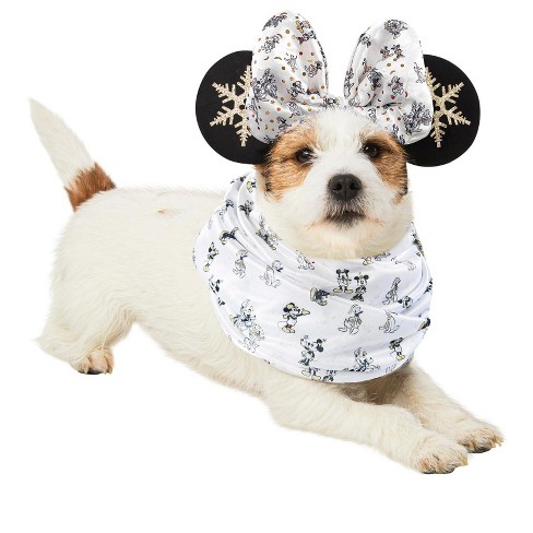 Disney for Pets Minnie Mouse Halloween Costume for Dogs - Small, Disney  Halloween Dog Costumes, Funny Pet Costumes