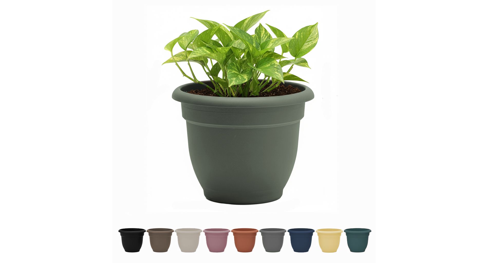 Bloem Ariana Plastic Self-Watering Planter