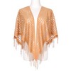 INSPIRE CHIC Shawls and Wraps for Evening Dresses Lace Mesh Fringe Scarves 1Pc - 2 of 4