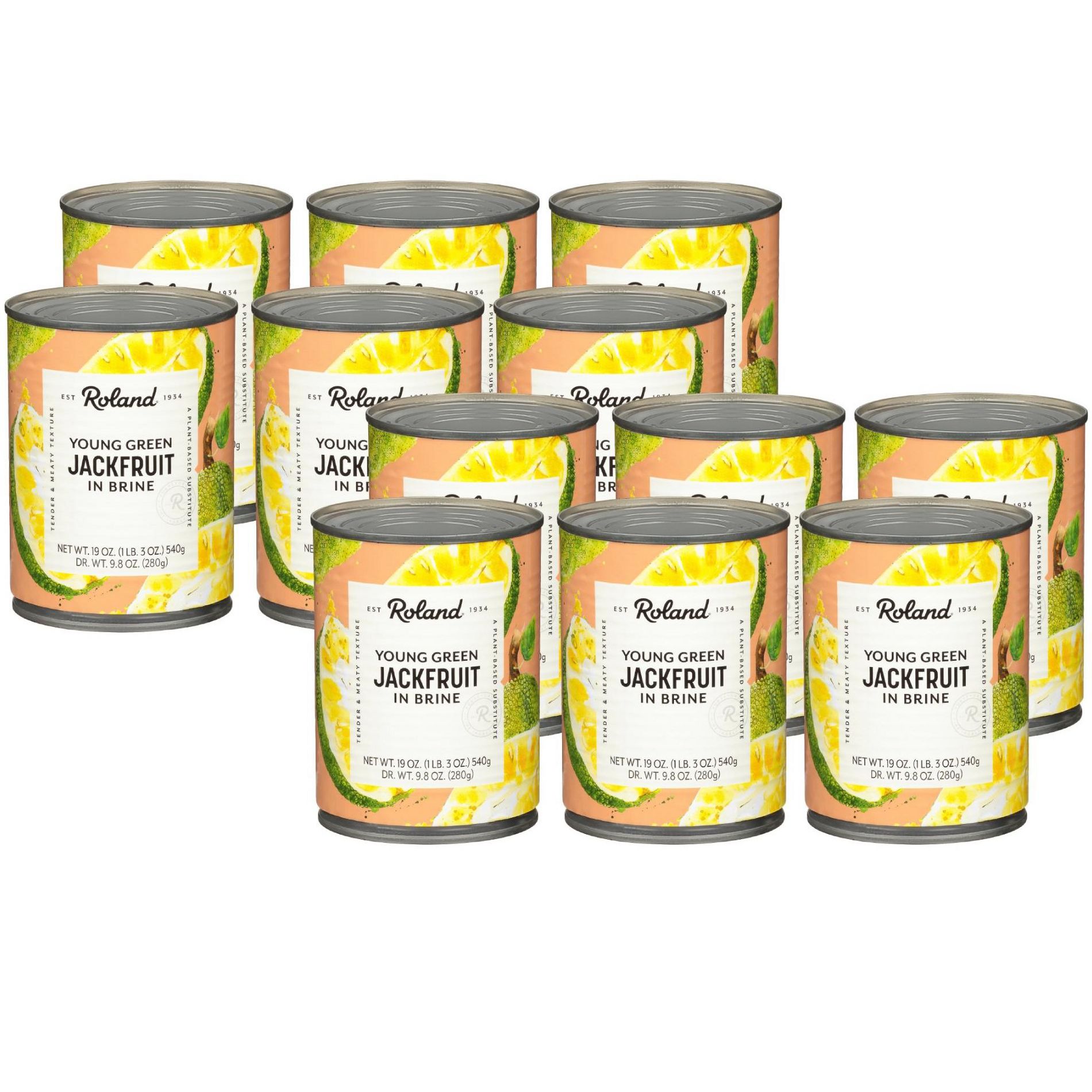 Roland Young Green Jackfruit in Brine - Case of 12/19 oz