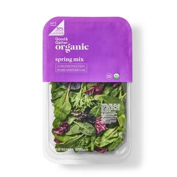 Organic Spring Mix Lettuce - 16oz - Good & Gather™