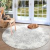 Area Rug Vintage Medallion Machine Washable Rugs Non Slip Non Shedding Distressed Printed Low Pile Foldable Carpet for Bedroom Living Room Playroom - 3 of 4