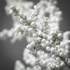 30"H Sullivans Artificial Frosted Juniper Berry Christmas Swag, White, Indoor Christmas Decor - 2 of 3