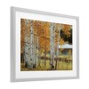 Stupell Industries Autumnal Birch Beauty Framed Print Under Glass Art - 2 of 4