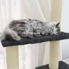 vidaXL Cat Tree Dark grey Engineered wood, plush, sisal 61.0 in tall - 4 of 4