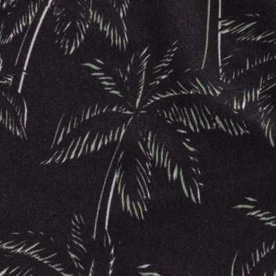 palmski