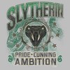 Mens Harry Potter Slytherin Pride and Ambition Tank Top - 2 of 4
