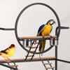 66'' Inch Birdcage Stand Activity Play Center with Perches and Ladders, Removable Tray, Indoor Outdoor Playground for Parakeet,Cockatiels Black - 4 of 4