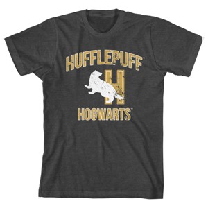 Harry Potter Youth Boys Hufflepuff Collegiate Charcoal Heather Graphic TShirt - 1 of 1