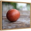 Amanti Art Egg on Wood by Tania Soderman Framed Canvas Wall Art - 3 of 4