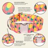 Country Brook Petz HossFit Jr Wide Premium Dog Collar - Tasty Collection - 3 of 4