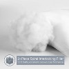 Aghana Digitals Luxury Soft Down Alternative Pillows, Machine Washable - 2 of 4
