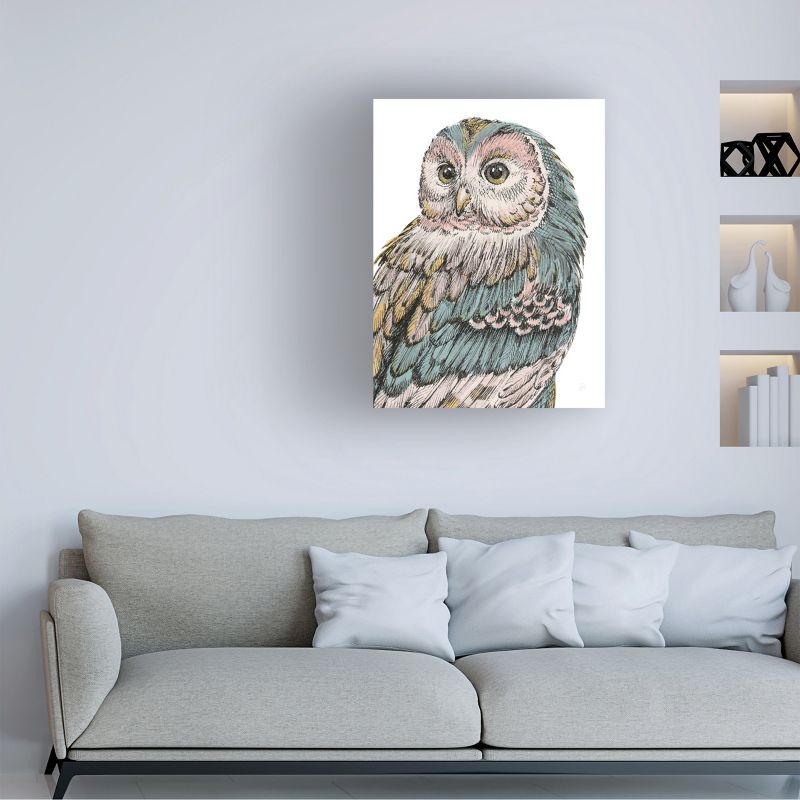 Trademark Fine Art -Daphne Brissonnet 'Beautiful Owls I Pastel' Canvas Art, 1 of 5