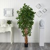 Nearly Natural 6-ft Black Olive Silk Tree - image 4 of 4