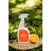 Angry Orange Pet Odor Eliminator Spray - 32 fl oz - image 4 of 4