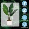 19.7" Artificial Mini Traveler’s Palm Plant in Pot – 1 Pot with 2 Lifelike Faux Plants, Tropical Indoor Decor for Home & Office - 3 of 4