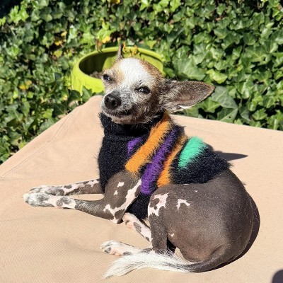 Guest review image 1 of 2, zoom in