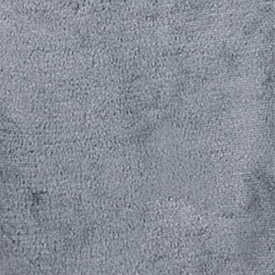 grey cat