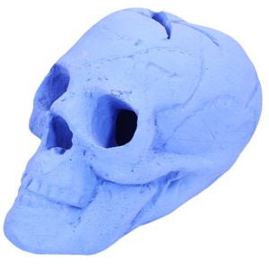 Barton Living Imitated Human Skull Ceramic Indoor or Outdoor Skull Gas Log for Blue - 1 of 2