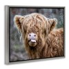 Stupell Industries Baby Cattle Licking Lips, 21" x 17" - 3 of 4