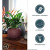 The HC Companies 12 Inch Atlas Sphere Planter with Drainage Hole, Indoor or Outdoor Use, Decorative Round Plastic Plant Pot for Herbs or Flowers, Blue - 3 of 4
