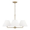 Capital Lighting Parson 4 - Light Chandelier in  Matte Brass - 4 of 4