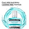 Listerine Zero Alcohol Antiseptic Mouthwash for Bad Breath and Plaque - Cool Mint - 33.8 fl oz - 4 of 4