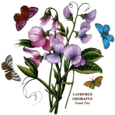 Botanic Garden Floral Porcelain Sandwich Tray with Handles