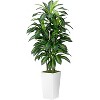 Artificial Dracaena Plant Indoor, Faux Yucca Tall Fake Floor Plant in Pot, Artificial Silk Tree House Floor Plants for Living Room Home Office Decor - 4 of 4