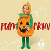 Joyfy Baby Pumpkin Costume – Adorable Furry Hooded Outfit for Infants Baby Pumpkin Costume Halloween - 2 of 4