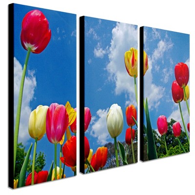 Trademark Fine Art -cateyes 'heaven' 3-panel Art Set : Target