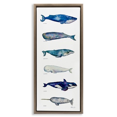 Stupell Industries Maritime Sea Life Chart, 11" x 25"