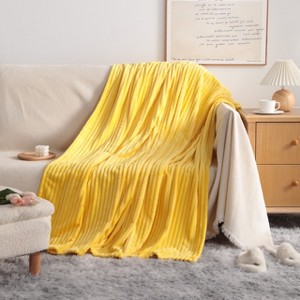 All Seasons Plush Flannel Blanket, Soft and Warm Bed Blanket for Couch Sofa Bed - NTBAY - 1 of 4