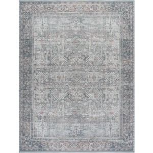 Arizona ARZ199 Machine Washable Skid Resistant Power Loomed Indoor Rugs - Safavieh - 1 of 4