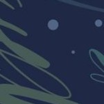 midnight garden