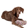 Midlee Plush Birthday Balls Dog Toy- Set of 3 - 3 of 4