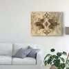 Trademark Fine Art -Silvia Vassileva 'Southwest Design I' Canvas Art - 3 of 3