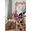 Avenlur Grove - Wood indoor 8-in-1 Wall Jungle Gym - 3 of 4